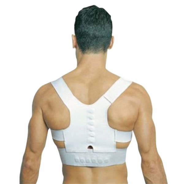 Royal Posture. Skin Royal Real Doctor Posture Energizing Posture Belt for Back  Support at Rs 200 in Ludhiana